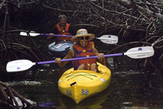 Key West Kayaking cruise excursion